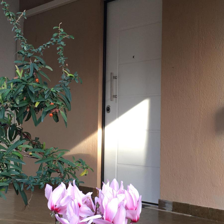 Casa Di Lucia B&B Ladispoli Exteriör bild